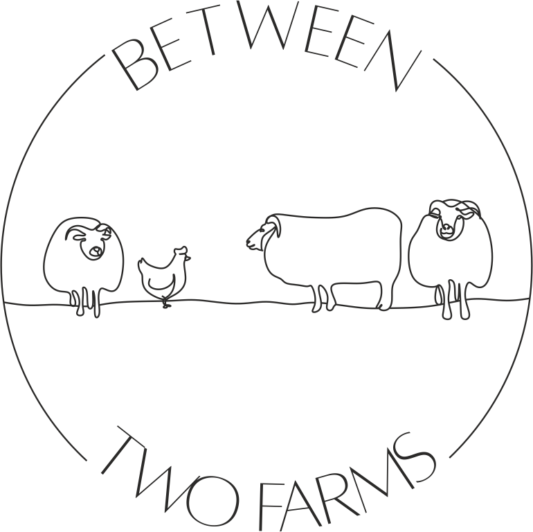 Between Two Farms / Six Ewes Yarn